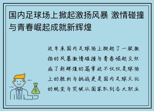 国内足球场上掀起激扬风暴 激情碰撞与青春崛起成就新辉煌